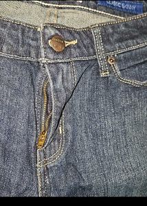 Denizen Levi's Denim