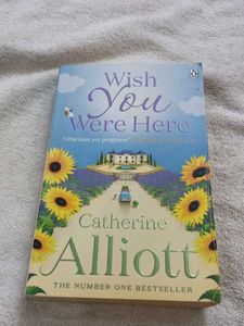 Wish You Were Here Novel original book