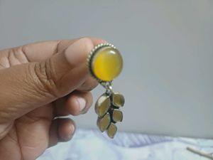 Elegant Dangle Earrings