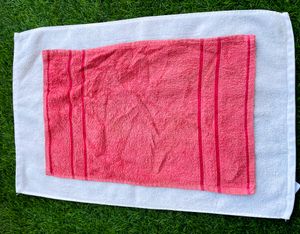 Two Hand towels Like New