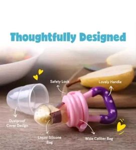 Baby Fruit Feeder Pacifier Set