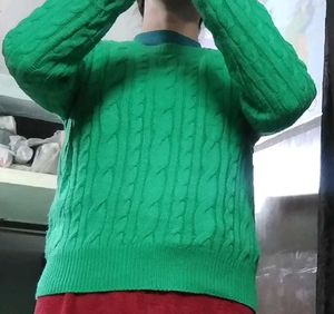 Women Self Design Green Sweater
