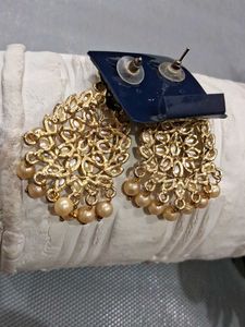 Beautifull Long Earrings