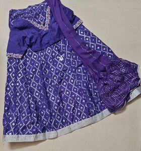 Beautiful Purple Lehenga choli Set with Embroidery
