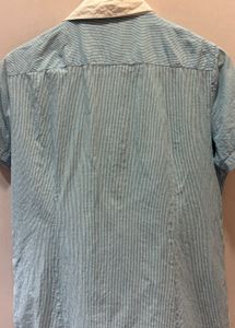 Striped Short Sleeve Button-Up Shirt
