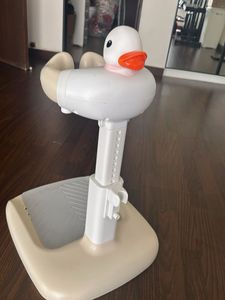 Baby Duck Walker &amp; Toy