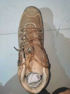 Woodland Shoes For Men . Unused. No Coins.
