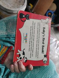 Baby's First High Contrast Book