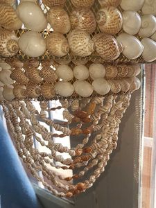 Conch Shell Chandilier.