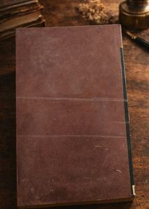 Sonar KNata (Bengali Novel)