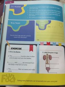 BYJU'S Grade 5 Math &amp; Science Books
