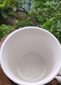 Milk/ Coffee/ Tea Mug☕