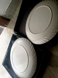 Elegant Floral Dinner Plate 2