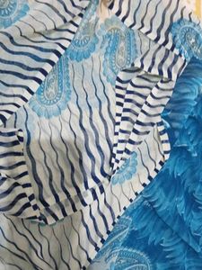 Blue &amp; White Printed Saree