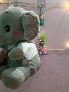 Cute Elephant Plush Toy.y