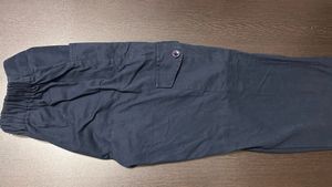 Navy Cargo Pants