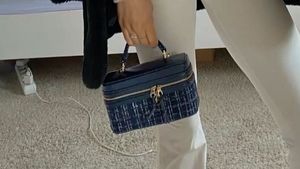 Zara navy blue tweed vanity bag