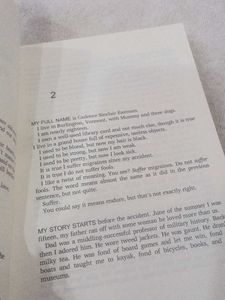 We Were Liars