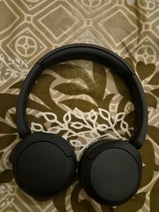 Sony WH-CH520/LZ Headphones with Cover