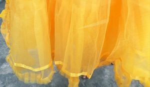 Yellow Fork