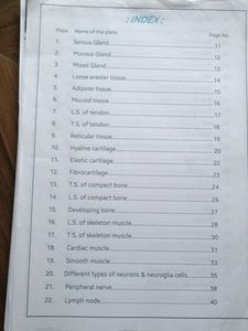 Histology Notes for 1st Year MBBS
