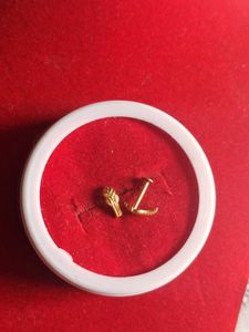 Elegant Gold Stud Earrings