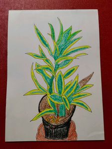 Soothing Plant Modern Art