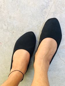 black bellies