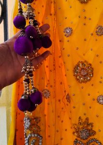 Exquisite Yellow Lehenga only