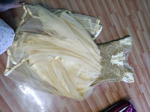 Elegant Cream &amp; Gold Ethnic Gown