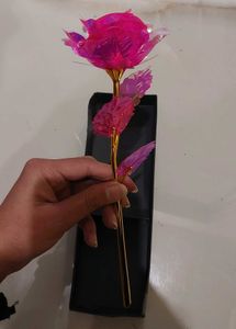 Iridescent Galaxy Rose
