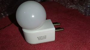 0.5 W Decorative Night Lamp..