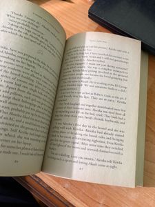 It Started with a Friend Request Novel