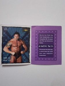 Marbels WWE Album No 7