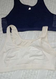 34b Sports Bra