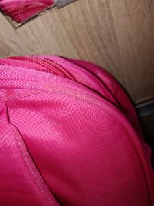 Frozen School Bag For Girls 5-10 Years