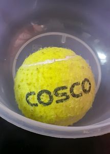 Cosco Kids Ball