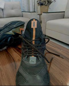 puma original LQDCELL(UK SIZE 9.)