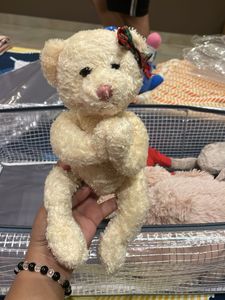 Collectible Teddy Bear