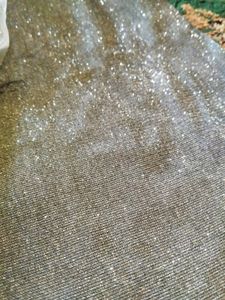 Sparkly Silver Party Outfit