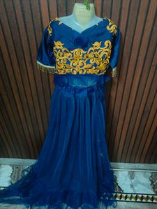 Beautiful Royal Blue Lehenga Choli