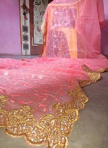 Net embroidery elegance Saree