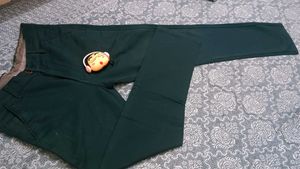till Green Casual Pants
