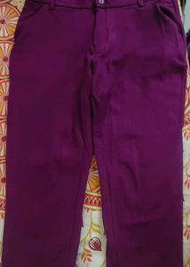 Purple Formal Pants