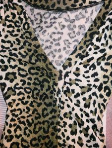 Leopard Print V-Neck Top