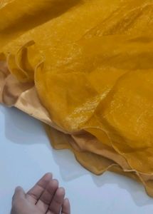 Mustard Yellow Lehenga Choli