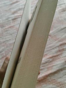Ward D by Freida McFadden