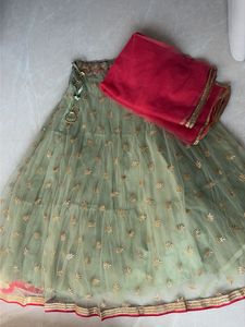 Elegant Embroidered skirt with duppatta. No blouse