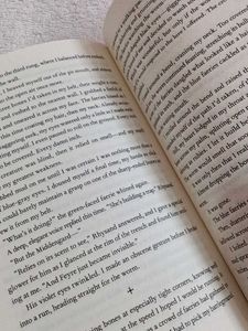A Court of Thorns and Roses