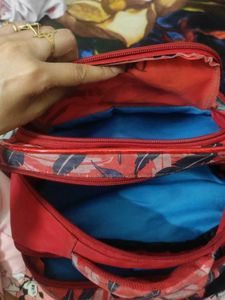 Spiderman Backpack